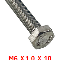 M2B106C010 M6 X 1.0 X 10 S/S BOLT 50 PACK